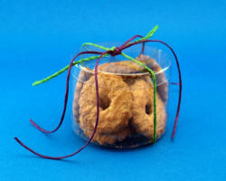 Confezione di plastica